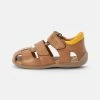 Schlussverkauf ✨ Froddo CHILDREN'S 🩴 SANDALS CARTE DOUBLE UNISEX Riemensandalette Brown 🌟 12 Schlussverkauf ✨ Froddo CHILDREN'S 🩴 SANDALS CARTE DOUBLE UNISEX Riemensandalette Brown 🌟 -Angebote Froddo Store 11ff0ddb00df419a8935b4b8a41c3364
