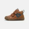 Brandneu 😀 Froddo Kinder ROSARIO HIGH TOP Lauflernschuh Cognac ✨ 14 Brandneu 😀 Froddo Kinder ROSARIO HIGH TOP Lauflernschuh Cognac ✨ -Angebote Froddo Store 7b0632e340b34d44b9e2bbe7fb4b4d1e